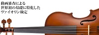 東京国際ヴァイオリン協会